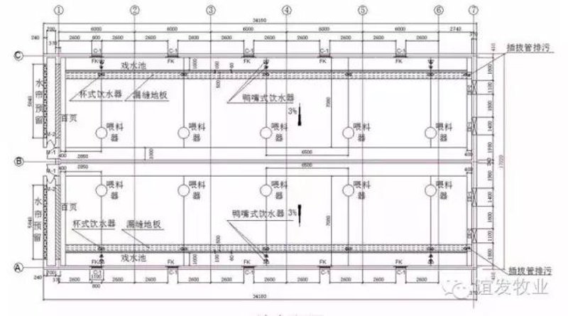 种猪繁育：行业动态与未来趋势