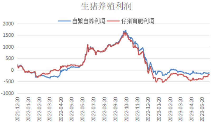 育肥猪产业动态：市场前景与养殖新技术